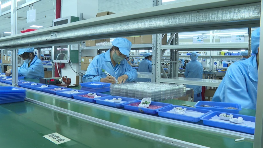 宾阳县 规上企业工业运行向好 助力县域经济扬帆“远航”